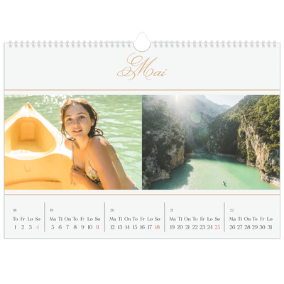 Fotokalender A3 — Elegant gull [kalender-forside]