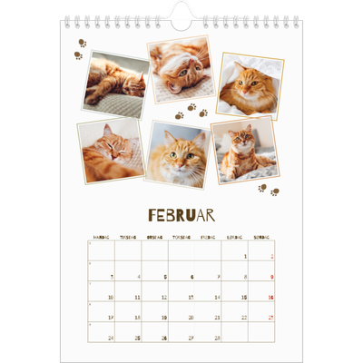 Fotokalender A4 (20 x 30 cm) — Leken kattunge [Februar]