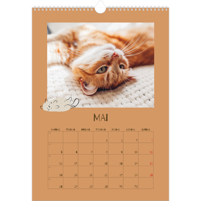 A3 Månedskalender — Leken kattunge [kalender-forside]