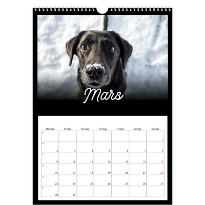 A3 Månedskalender — Sort minimalisme [Mars]