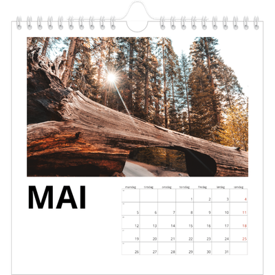 Månedskalender kvadratisk — Hvit kalender [kalender-forside]