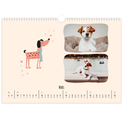 Fotokalender A3 — Hundepoter og kruseduller [Mars]