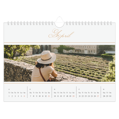 Fotokalender A4 — Elegant gull [April]