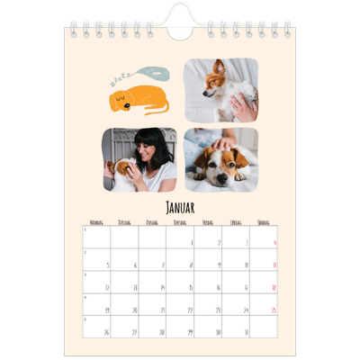 Fotokalender A5 — Hundepoter og kruseduller [Januar]