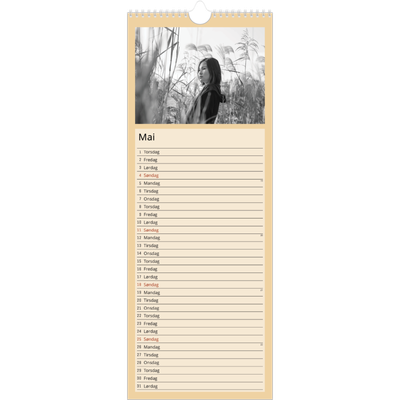 Fotokalender smal  — Nordiske pasteller [kalender-forside]