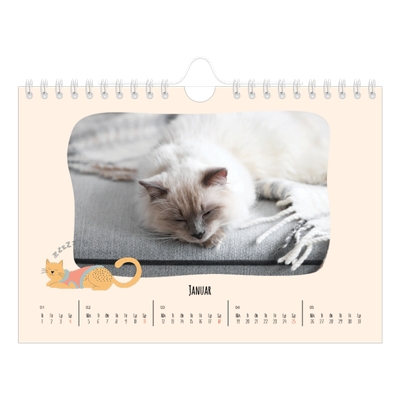 Fotokalender A5 — Kattepoter og kruseduller [Januar]