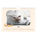 Fotokalender A5 — Kattepoter og kruseduller [Januar]
