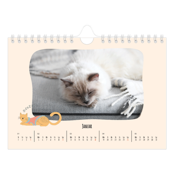 Fotokalender A5 — Kattepoter og kruseduller