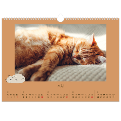 Fotokalender A3 — Leken kattunge [kalender-forside]