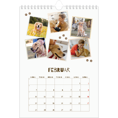 Fotokalender A4 (20 x 30 cm) — Leken valp [Februar]