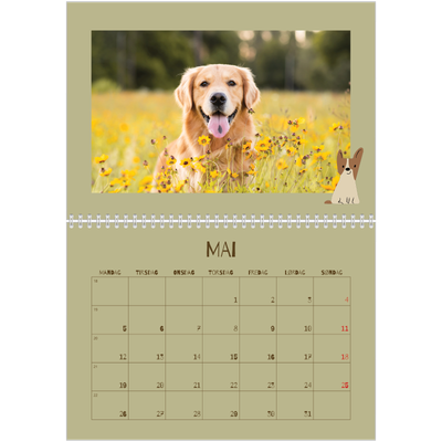 Fotokalender A4 dobbel (30 x 40 cm) — Leken valp [kalender-forside]