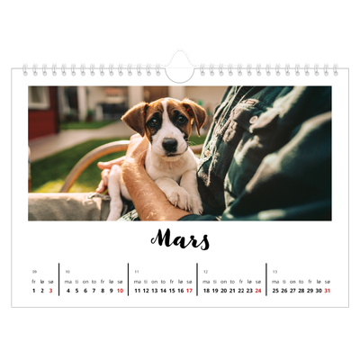 Fotokalender A4 — Håndskrevet [Mars]