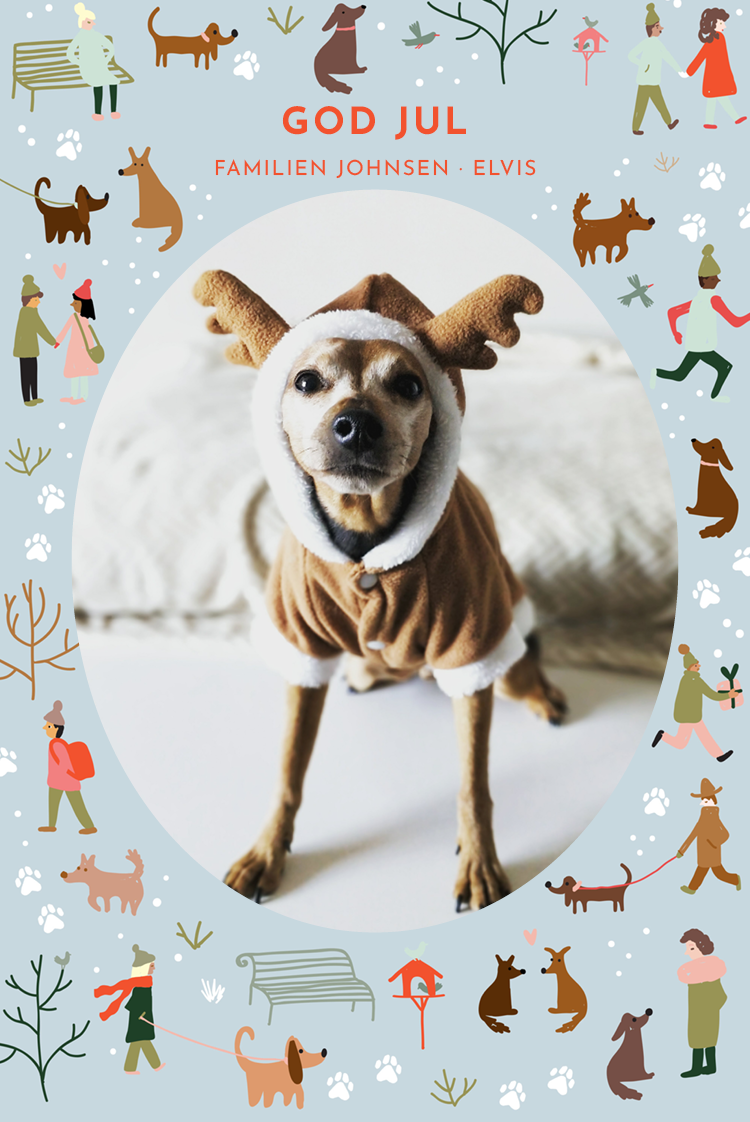 Fotokort — Hundens julekort
