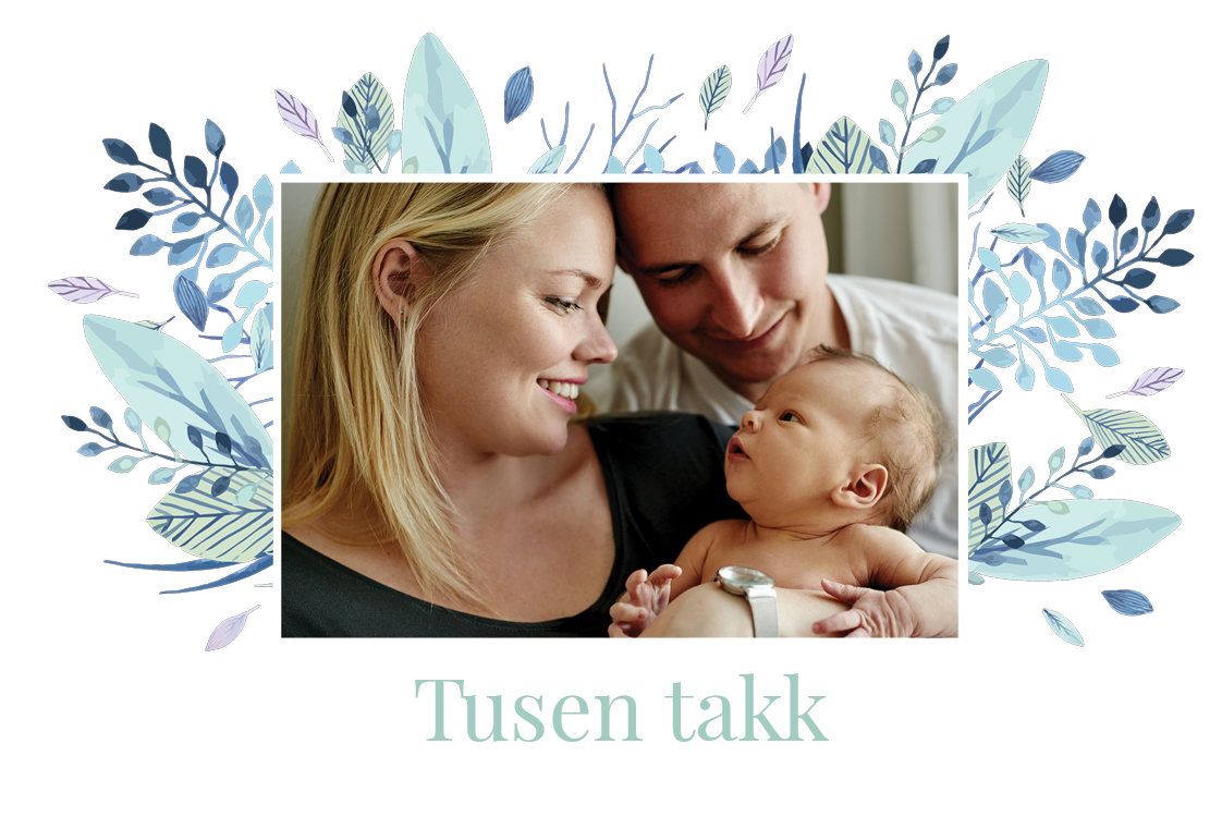 Takkekort — Sjernens navn