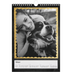 Fotokalender A4 (20 x 30 cm) — Rammer med glitter [Februar]