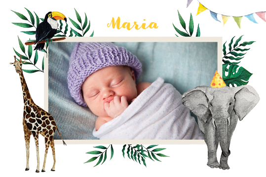 Invitasjoner — Vannfarger dyr