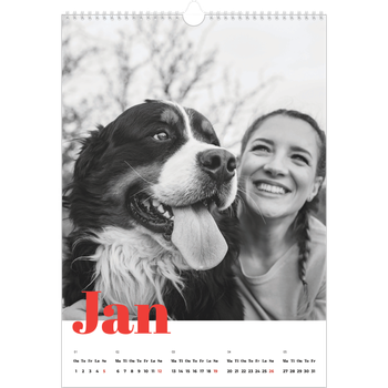 Fotokalender A3 — Et fantastisk år