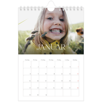 Fotokalender A5 — Tolv store måneder
