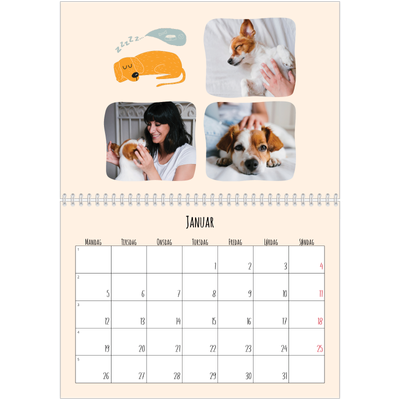 Fotokalender A4 dobbel (30 x 40 cm) — Hundepoter og kruseduller [Januar]