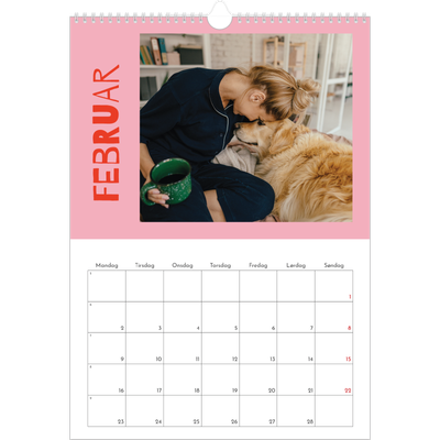 A3 Månedskalender — Fargerik kalender [Februar]