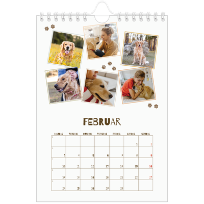 Fotokalender A5 — Leken valp [Februar]