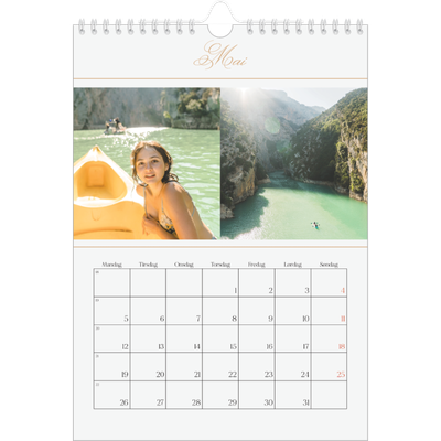Fotokalender A4 (20 x 30 cm) — Elegant gull [kalender-forside]