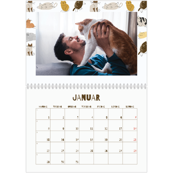 Fotokalender A4 dobbel — Leken kattunge