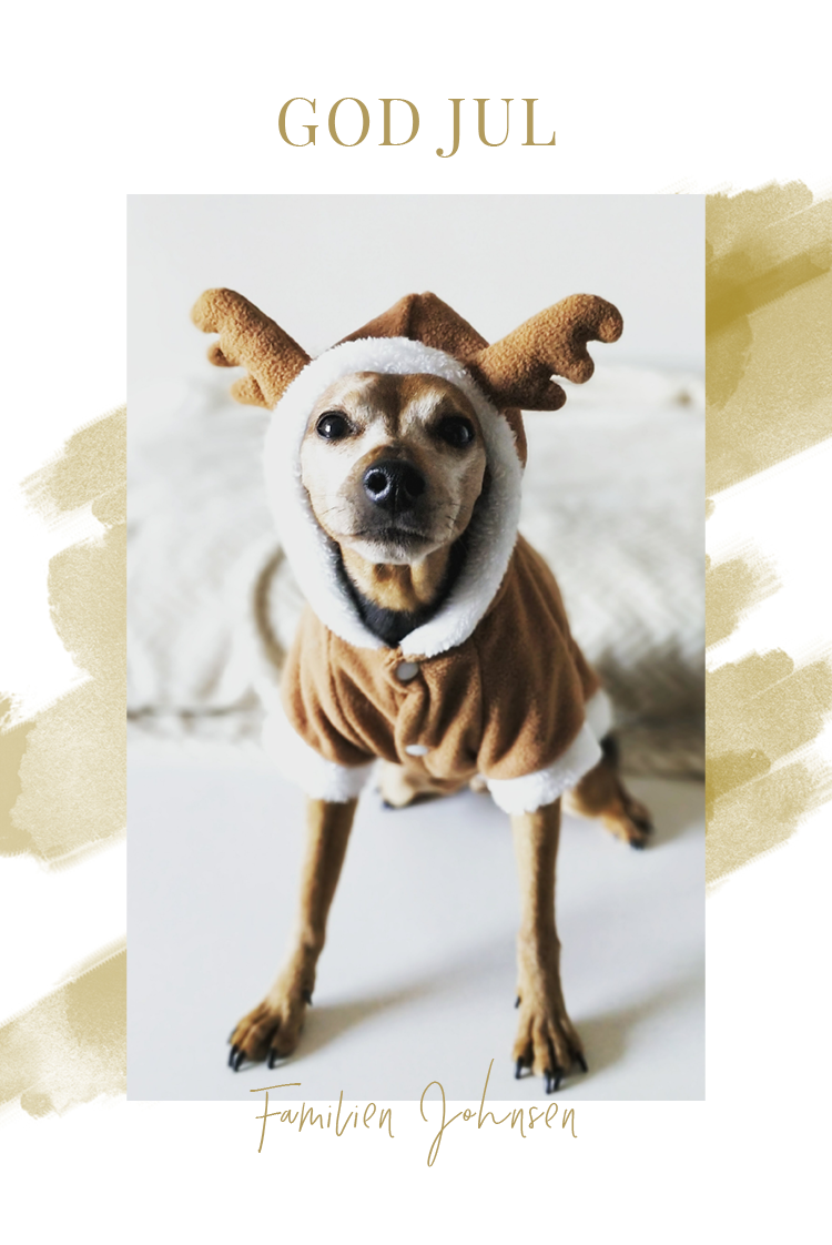 Fotokort — Vannfarger i gull