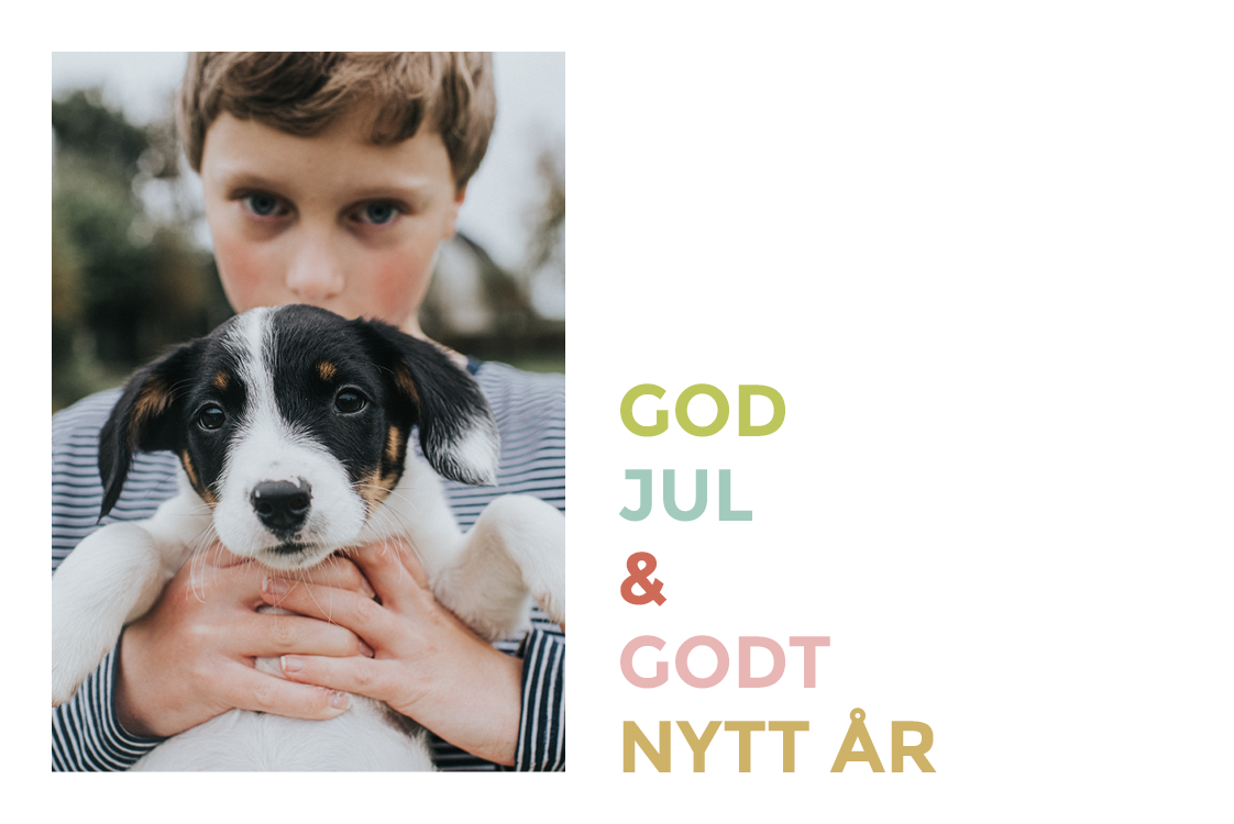 Fotokort — Fargerike fonter