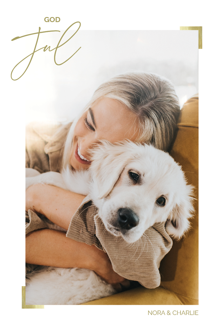 Fotokort — Gulldetaljer