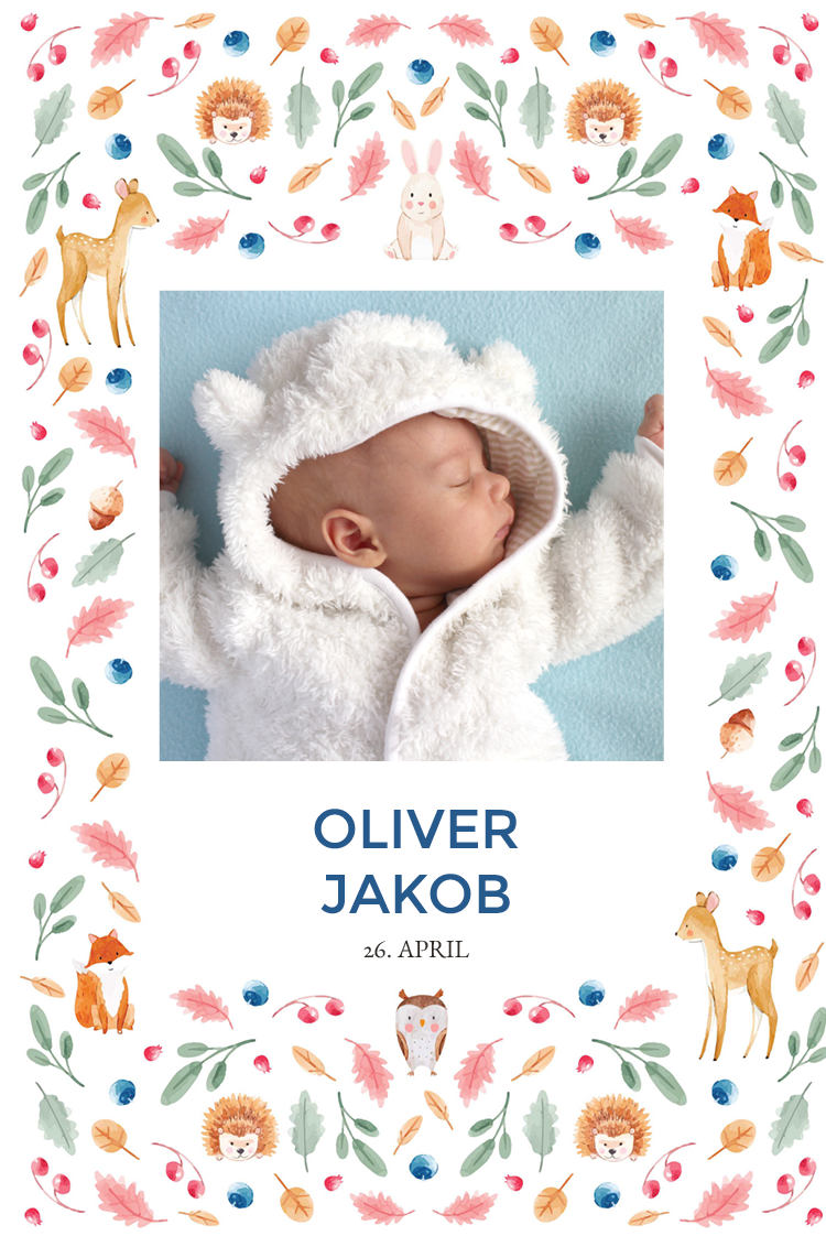 Invitasjoner — Fargerike skogsdyr