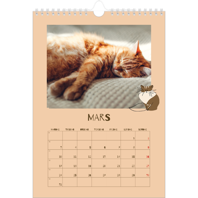 Fotokalender A4 (20 x 30 cm) — Leken kattunge [Mars]
